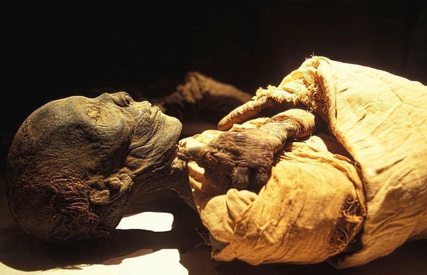 Mummy of Thutmose II - Egypt Museum