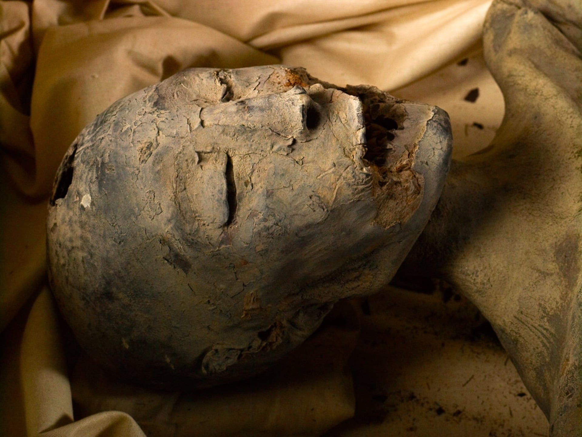 Ancient Aliens: King Tut's Mummified Dna (season 9)