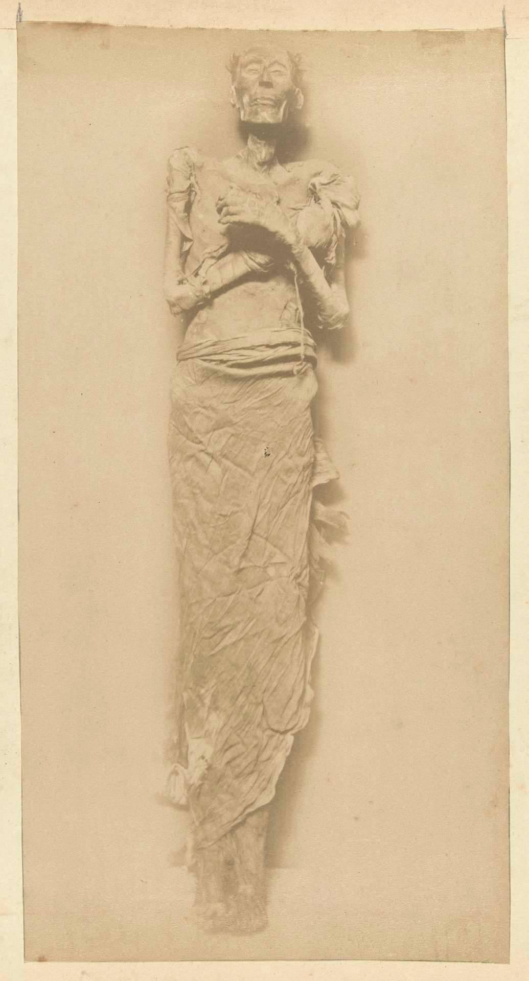 Mummy Of Ramesses II - Egypt Museum