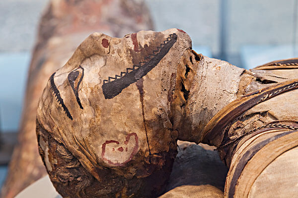 Mummy of an adult man - Egypt Museum