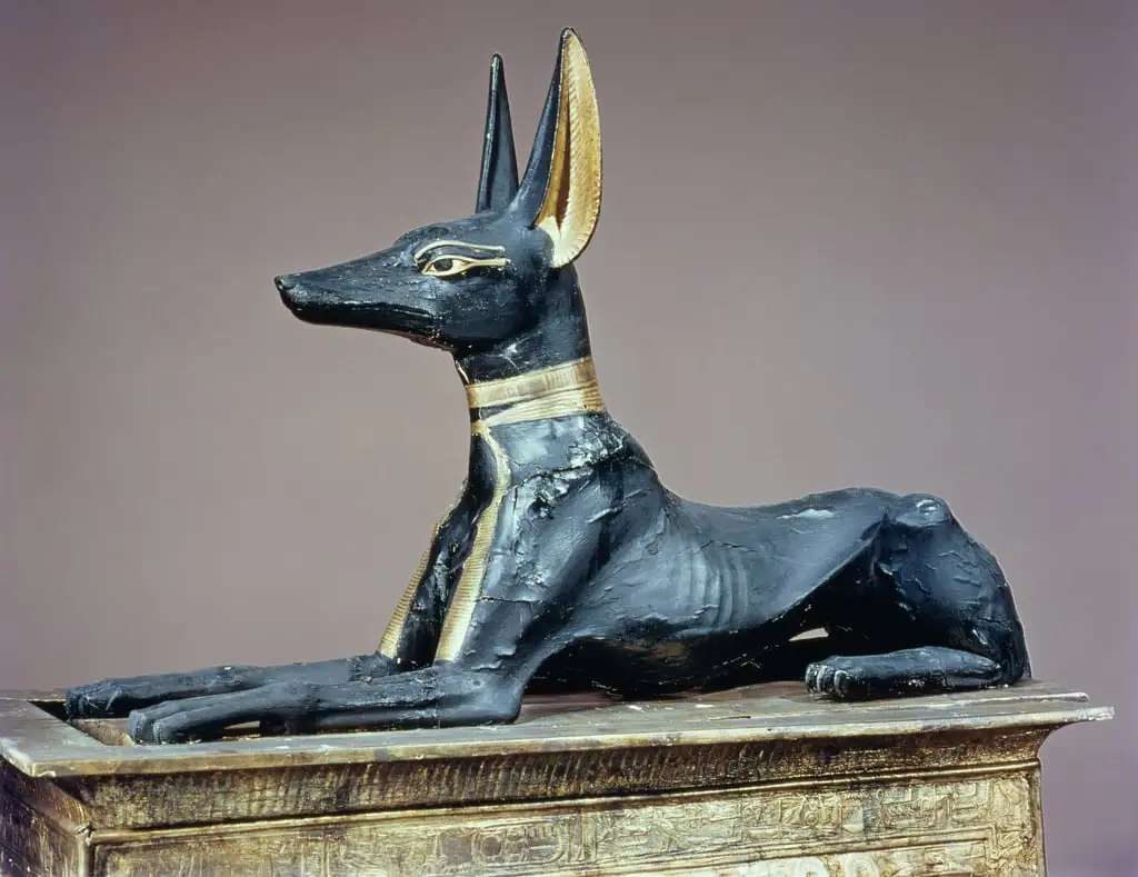 Anubis in human form - Egypt Museum