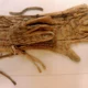 Linen Gloves of Tutankhamun