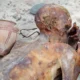 The Gebelein Man (British Museum. EA32751), also known informally as “Ginger” due to his red hair; is the mummy of a young Egyptian man found in Gebelein.
