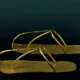 Gold sandals found on the mummified body of the king Shoshenq II.