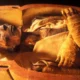 Mummy of King Ramesses II