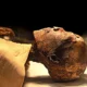 Mummy of King Ramesses IV