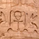 Relief of a Honeybee