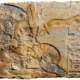 Queen Nefertiti Kissing her Daughter