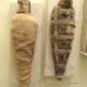 Hawk Mummies