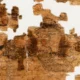 Turin erotic satirical papyrus