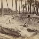 Colossus of Ramesses II at Memphis, 1897