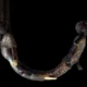An Assyrian and Sub Saharan captives are depicted bound on this handle design of one of king Tutankhamun's 130 walking sticks buried alongside him within his famous tomb.